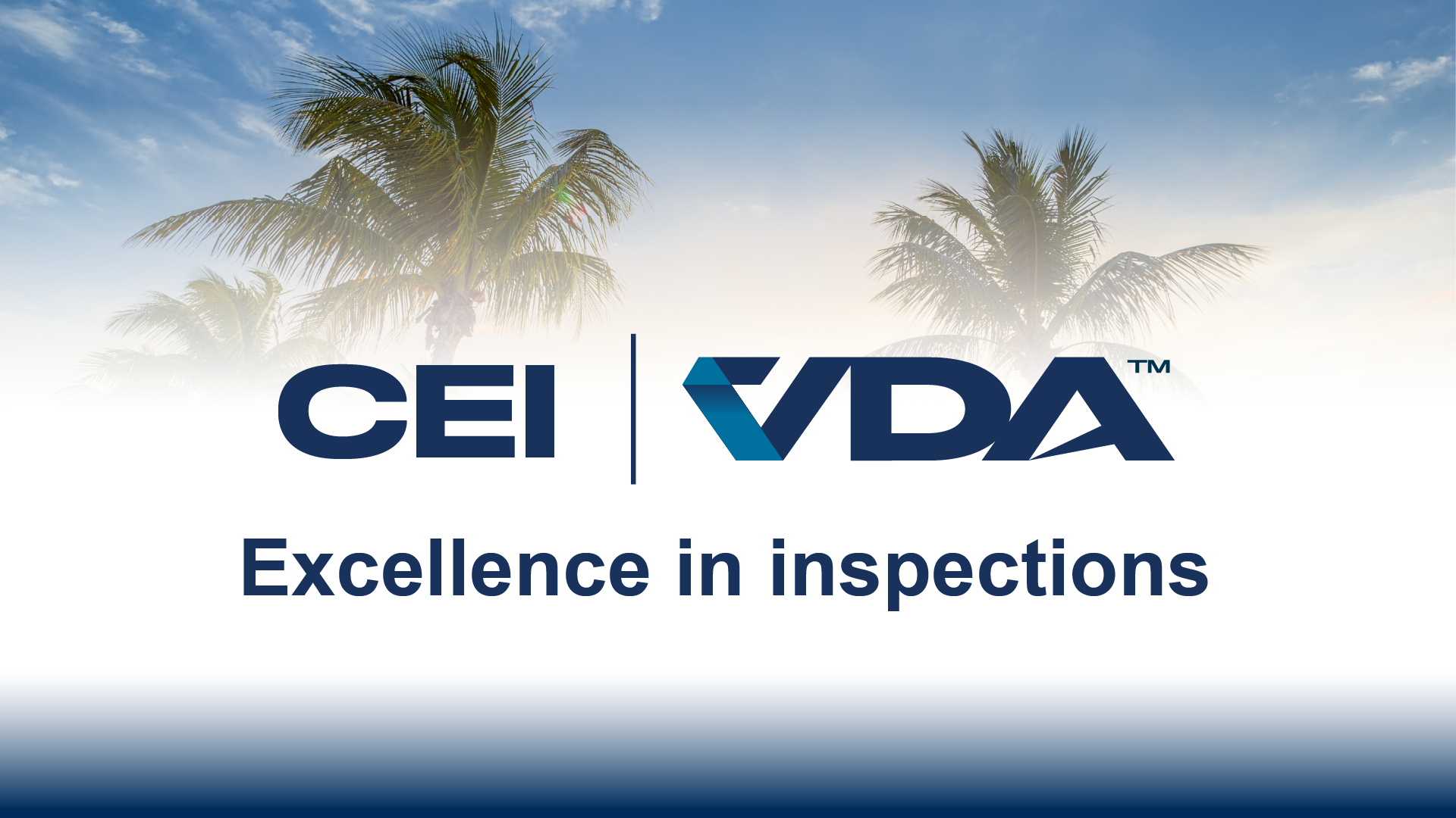 VDA acquires CEI